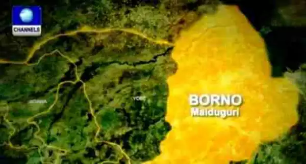 14 Killed, 24 Injured In Borno Suicide Attack